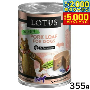 yő2000~OFFN[||Cg+5{z[^X hbOt[h OCt[ EFbgt[h |[N [t 355g Y ʋl