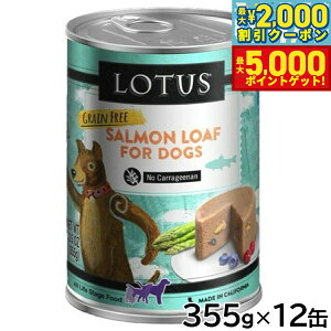 yX|Cgő46{I1118Iz[^X hbOt[h OCt[ EFbgt[h T[ [t 355g×12ʃZbgyz Y ʋl