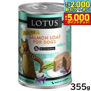 yX|Cgő46{I1118Iz[^X hbOt[h OCt[ EFbgt[h T[ [t 355g Y ʋl