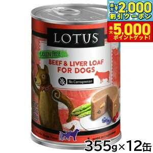 yő2000~OFFN[||Cg+5{z[^X hbOt[h OCt[ EFbgt[h r[t [t 355g×12ʃZbgyz Y ʋl