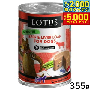 yX|Cgő46{I1118Iz[^X hbOt[h OCt[ EFbgt[h r[t [t 355g Y ʋl