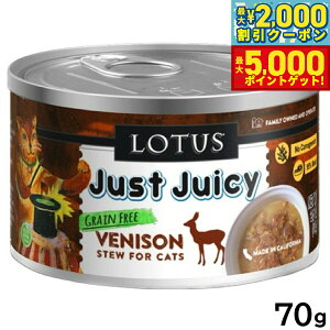 yő2000~OFFN[||Cg+5{z[^X Lbgt[h OCt[ EFbgt[h xj\ V`[ 70g Y ʋl