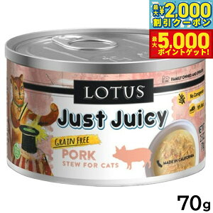 yő2000~OFFN[||Cg+5{z[^X Lbgt[h OCt[ EFbgt[h |[N V`[ 70g Y ʋl