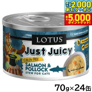 yő2000~OFFN[||Cg+5{z[^X Lbgt[h OCt[ EFbgt[h T[|bN V`[ 70g×24ʃZbgyz Y ʋl