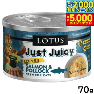 yő2000~OFFN[||Cg+5{z[^X Lbgt[h OCt[ EFbgt[h T[|bN V`[ 70g Y ʋl