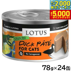 yő2000~OFFN[||Cg+5{z[^X Lbgt[h OCt[ EFbgt[h _bNpe 78g×24ʃZbgyz Y ʋl