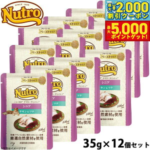 yő2000~OFFN[||Cg+5{zj[g Lbg fC[ fBbV VjALp `Lci N[~[ȃy[Xg^Cv pE` 12Zbg L Y EFbgt[h