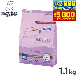 yő2000~OFFN[||Cg+5{zi`n[xXg hbOt[h tbNX ΃PApHÖ@H 1.1kg Y p {p