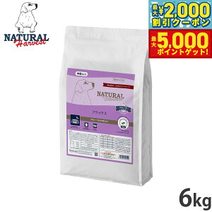 yő2000~OFFN[||Cg+5{zi`n[xXg hbOt[h tbNX ΃PApHÖ@H 6kgyz Y p {p