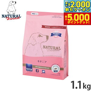 yő2000~OFFN[||Cg+5{zi`n[xXg hbOt[h LhjA tapHÖ@H 1.1kg Y p {p