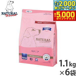 yő2000~OFFN[||Cg+5{zi`n[xXg hbOt[h LhjA tapHÖ@H 1.1kg×6܃Zbgyz Y p {p