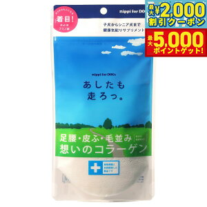 yő2000~OFFN[||Cg+5{zjbs Tvg B p 40g Tv ֐ 畆 R[Q 