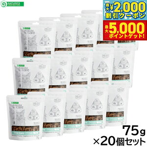 yX|Cgő46{I1118IzlC`[YveNV Lp zCgLbg XibN I[PA 75g×20Zbgyz Y zCgR[g ܂₯΍