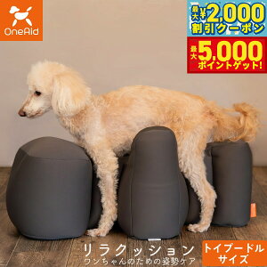 yő2000~OFFN[||Cg+5{zGCh OneAid NbV gCv[h TCY `R[O[ p  pi xbh p ^p