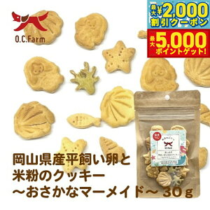 yő2000~OFFN[||Cg+5{zI[V[t@[ p ƕĕ̃NbL[ }[Ch 30g Y Y