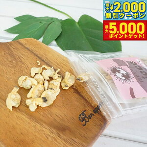 yX|Cgő46{I1118Izs[X Lp t[YhCV[Y  9g Y  i` VR L Lbg g[c gbsO 育͂