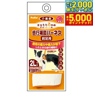 yX|Cgő46{I1118IzyeBI zuttone Vp s⏕n[lX OpK 2L R L 