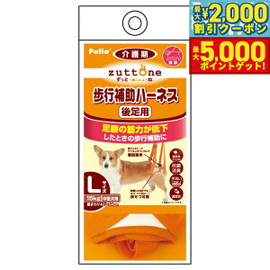 yX|Cgő46{I1118IzyeBI zuttone Vp s⏕n[lX 㑫pK L R L 