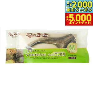 yő2000~OFFN[||Cg+5{zybc[g xj\Ag[ M p  ̊p