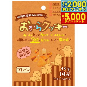 yő2000~OFFN[||Cg+5{zybc[g NbL[ v[ 40g   Y Y  J[ Oet[ H@ Ă