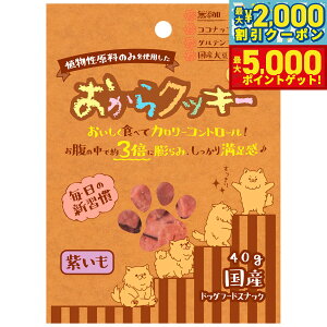 yX|Cgő46{I1118Izybc[g NbL[  40g   Y Y  J[ Oet[ H@ Ă