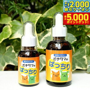 yX|Cgő46{I1118Iz|`^}̂ς 60ml ܂₯  Lp pi/Lpi/ybgObY/ybgpi