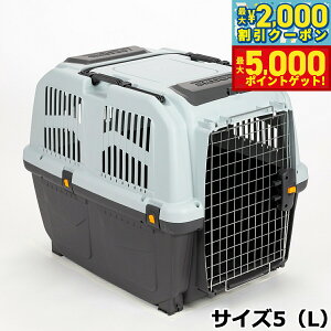 yő2000~OFFN[||Cg+5{zMPS ybg P[W SKUDOCA^ TCY5iLj  L ybgL[ N[g n[hL[