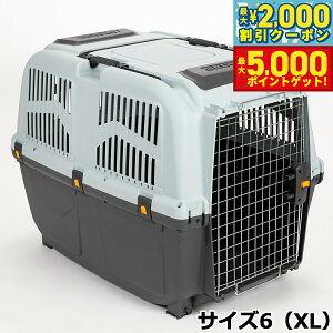 yő2000~OFFN[||Cg+5{zMPS ybg P[W SKUDOCA^ TCY6iXLj  L ybgL[ N[g n[hL[