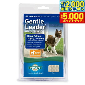 【最大2000円OFFクーポン＆ポイントさらに+5倍】ペットセーフ ジェントルリーダー ヘッドカラー クイックリリース M