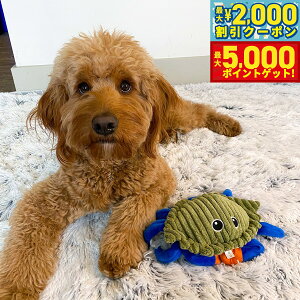 yő2000~OFFN[||Cg+5{zg[ eCY TALL TAILS tbv gC Nu   ʂ  Jj drsgp TXeBiu