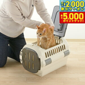 yő2000~OFFN[||Cg+5{zb`F Richell LsOL[t@C _uhA S AC{[  L  ybgL[ N[g nEX ^ ^ n[