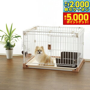 yő2000~OFFN[||Cg+5{zb`F Richell |ȒPybgP[W900 uE  P[W T[N  ` ^ ^ XCh ^b`bN L