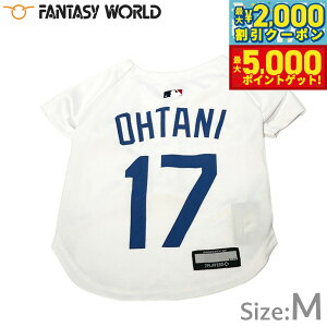 yő2000~OFFN[||Cg+5{zMLBF T[X hW[X JĕI胂f W[W M zCgyz  m hbOEFA jtH[ 싅