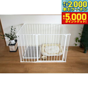 yő2000~OFFN[||Cg+5{zXJWirA ybgfUC ybgP[W XL zCg ysz