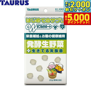 yő2000~OFFN[||Cg+5{zg[X Tvg ͂߂ẴTv y  Lp 20g  Ɖu