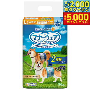 yő2000~OFFN[||Cg+5{zj`[ }i[EFA j̎qp ^p