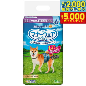 yő2000~OFFN[||Cg+5{zj`[ }i[EFA j̎qp ^p