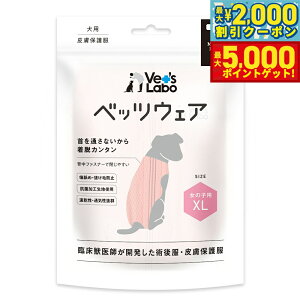 yő2000~OFFN[||Cg+5{zxbc{ xbcEFA p㕞 ̎qp XL sNyz