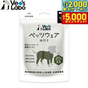 yő2000~OFFN[||Cg+5{zxbc{ p xbcEFA p㕞 畆ی앞 t j̎qp XS J[Lyz GUxXJ[  p