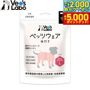 yő2000~OFFN[||Cg+5{zxbc{ p xbcEFA p㕞 畆ی앞 t ̎qp L sNyz GUxXJ[  p