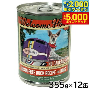 yő2000~OFFN[||Cg+5{zEFJz[ hbOt[h EFbgt[h OCt[ _bNVs 355g×12ʃZbgyz Y sgp ʋl