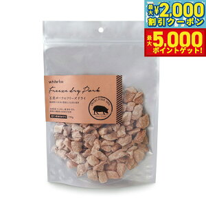 yX|Cgő46{I1118IzzCgtHbNX Ό|[Ñt[YhC 120g  L  育 gbsO Y Y F ۑsgp