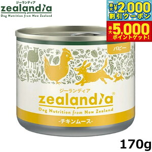 yő2000~OFFN[||Cg+5{zW[fBA hbOt[h ps[ `L[X qp 170g Y sgp OCt[ EFbg ʋl