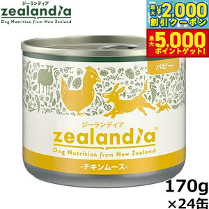 yő2000~OFFN[||Cg+5{zW[fBA hbOt[h ps[ `L[X qp 170g×24 Y sgp OCt[ EFbg ʋl yz