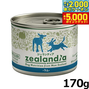 yő2000~OFFN[||Cg+5{zW[fBA hbOt[h OCt[ EFbgt[h  170g ʋl Y sgp OCt[