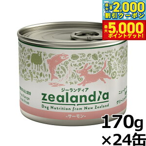 yő2000~OFFN[||Cg+5{zW[fBA hbOt[h OCt[ EFbgt[h T[ 170g×24ʁyz ʋl Y sgp OCt[