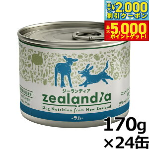 yő2000~OFFN[||Cg+5{zW[fBA hbOt[h OCt[ EFbgt[h  170g×24ʁyz ʋl Y sgp OCt[