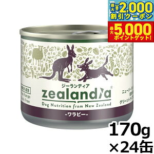 yő2000~OFFN[||Cg+5{zW[fBA hbOt[h OCt[ EFbgt[h r[ 170g×24ʁyz ʋl Y sgp OCt[