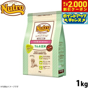 y2000~OFFN[|IX|Cgő55{I{Izj[g i``CX hbOt[h  qp Sp 1kg Y