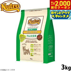 y2000~OFFN[|IX|Cgő55{I{Izj[g i``CX hbOt[h  ^`^ p 3kg Y piybgpi [NC-AD]